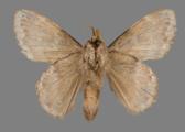 AZ26-0058V